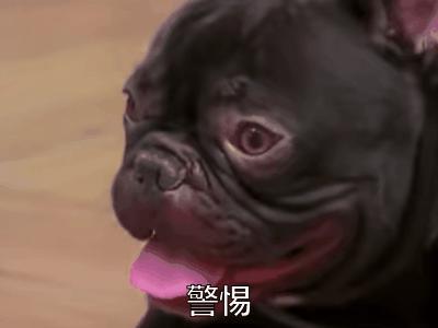 恋爱味儿的 “ 查岗 App ” ，功能好窒息！