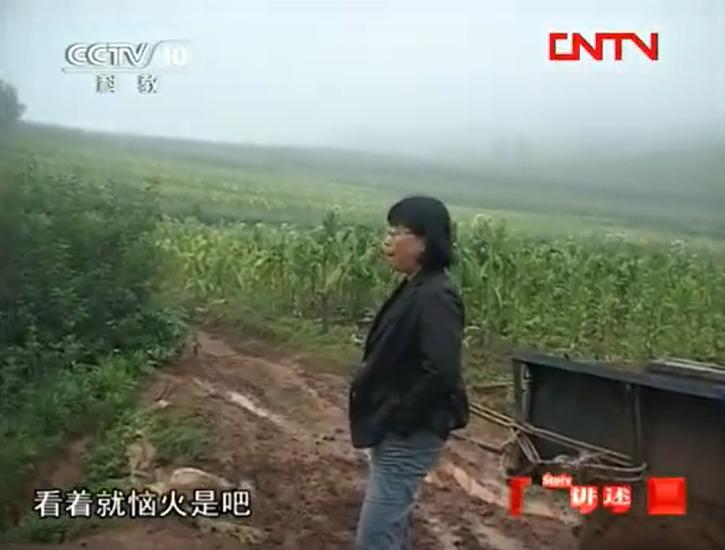 改编张桂梅?抱歉,内娱不配