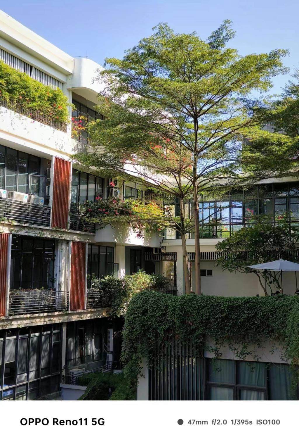 OPPO Reno11首发评测：「要啥有啥」才是「超级标准版」