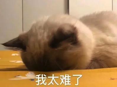 斗鱼CEO“涉赌”的事情越闹越大，不少大主播也突然停播了。