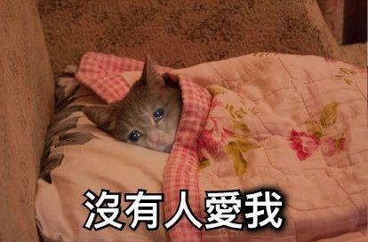 斗鱼CEO“涉赌”的事情越闹越大，不少大主播也突然停播了。