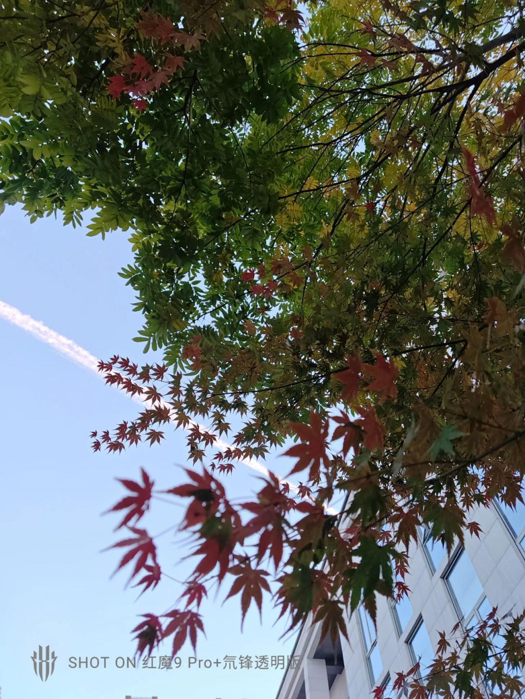 双面纯平不打孔，红魔在游戏手机上玩的设计，成了。