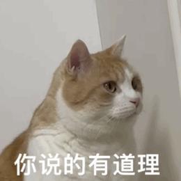 这款 1999 元的红米新机！配置谁受得了