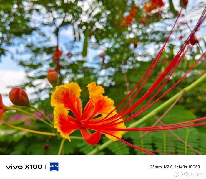 不露锋芒的旗舰标准版，也能拥有满分体验