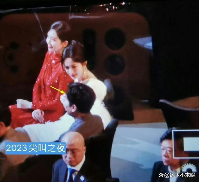 杨幂未来堪忧！尖叫之夜地位尴尬，95花狂抢热搜，前路何在？