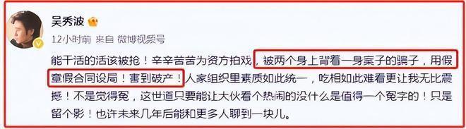 吴佩慈豪门梦碎！男友纪晓波被定性为恶势力首脑，姨妈被判8年半