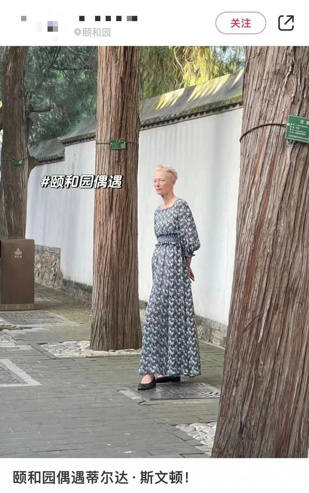 不断换脸的63岁“外星人”，凭什么当女神？