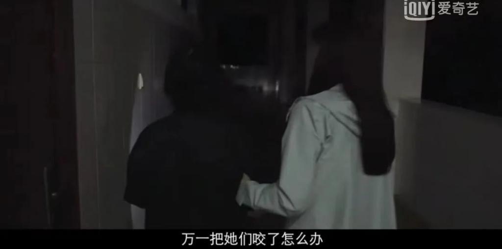 《我本是高山》被群嘲？真实的张桂梅，早已看哭无数人…