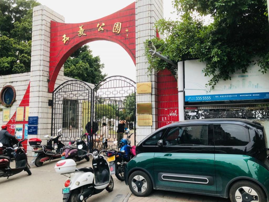 “高配老头乐”之城，柳州为什么那么多微型车？