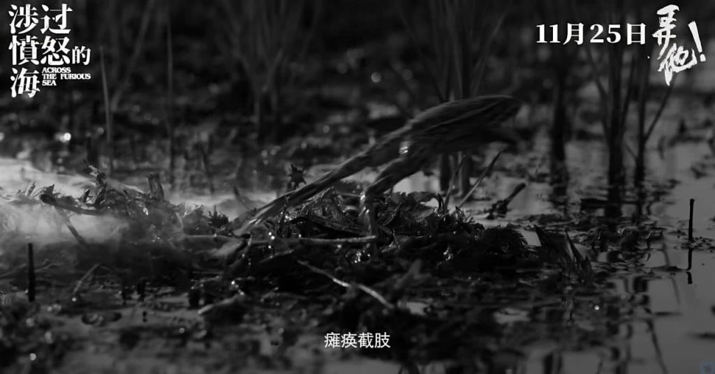 暗疮一揭，今年国片的体面有了