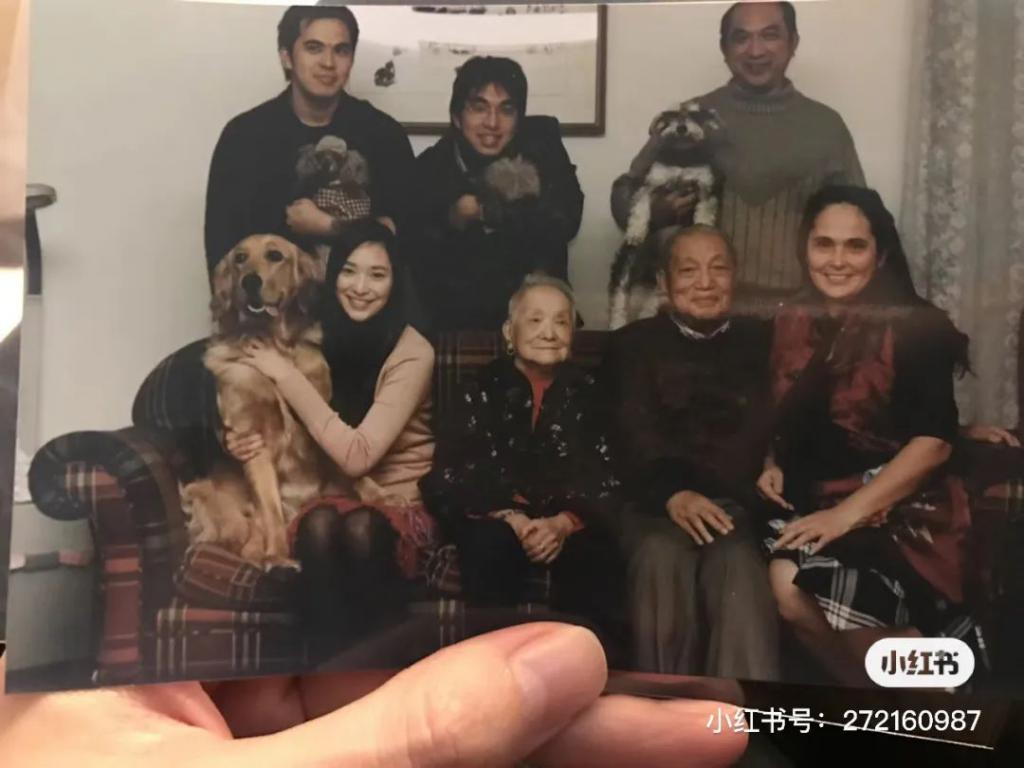 “叠码仔”全军覆没，吴佩慈与“赌神”男友和强悍婆婆