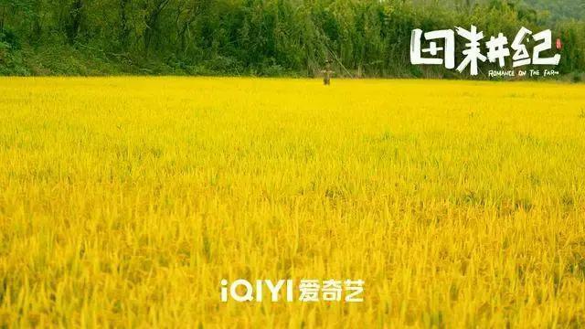 震惊！他俩终于公开了？