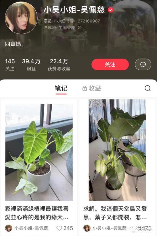 豪门梦碎，她反而成了最精明的女明星？