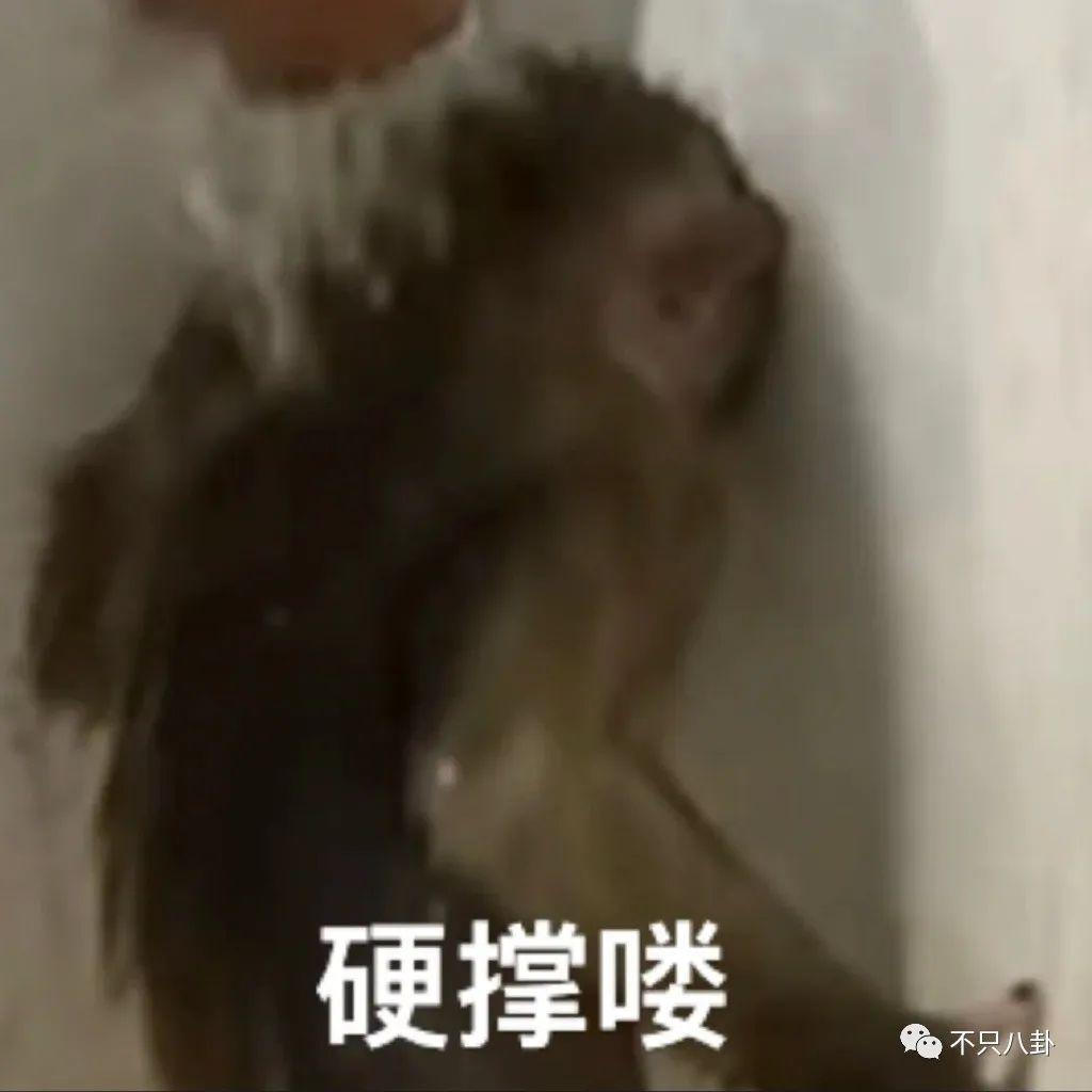 豪门梦碎，她反而成了最精明的女明星？