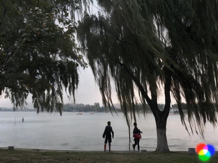 让图片变动态视频，现在可能动动鼠标就够了。