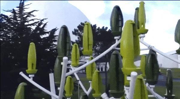 法国大爷种了一棵树，家里一辈子都不用交电费了，还有这种好事？