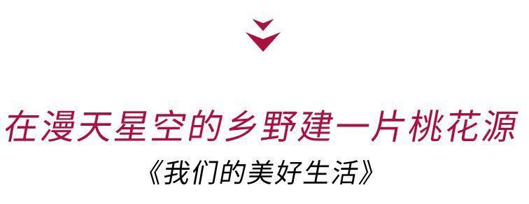谢谢它，治好了我的精神内耗
