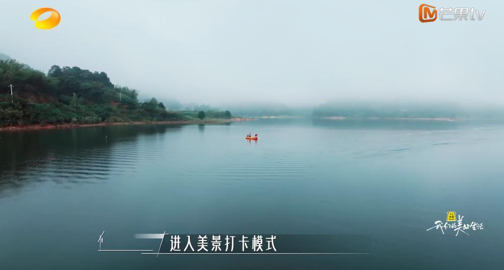 谢谢它，治好了我的精神内耗