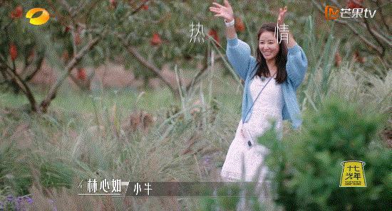 谢谢它，治好了我的精神内耗