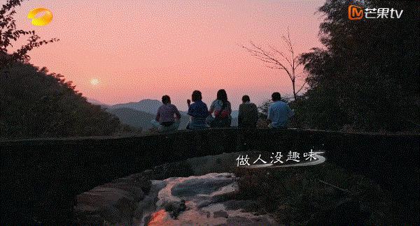 谢谢它，治好了我的精神内耗
