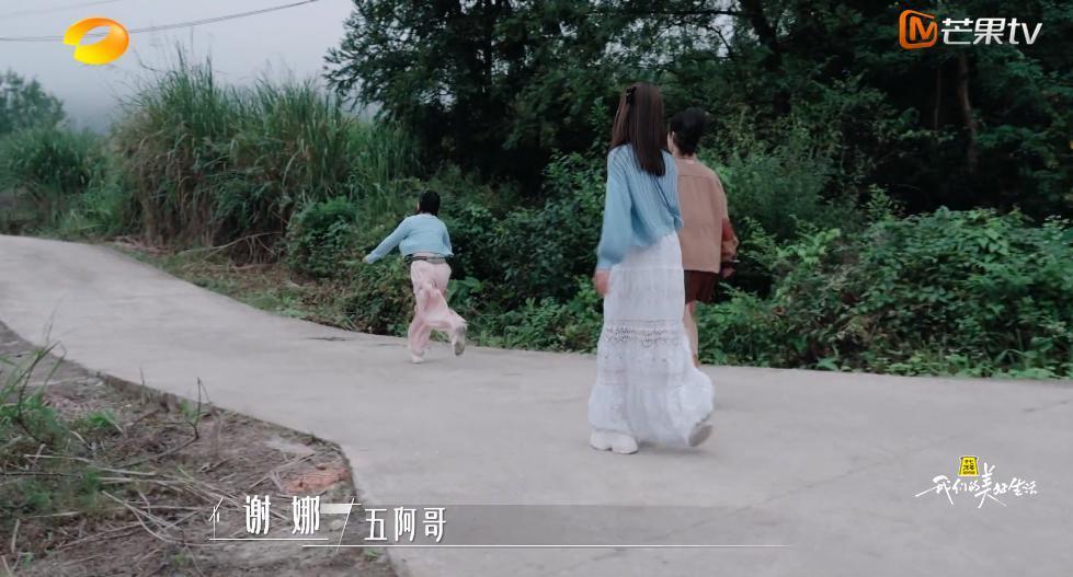 谢谢它，治好了我的精神内耗