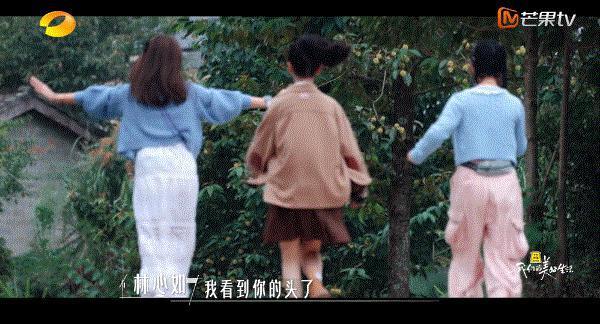 谢谢它，治好了我的精神内耗