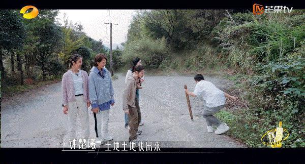 谢谢它，治好了我的精神内耗