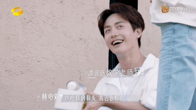 谢谢它，治好了我的精神内耗