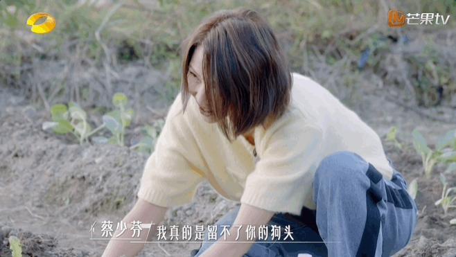 谢谢它，治好了我的精神内耗