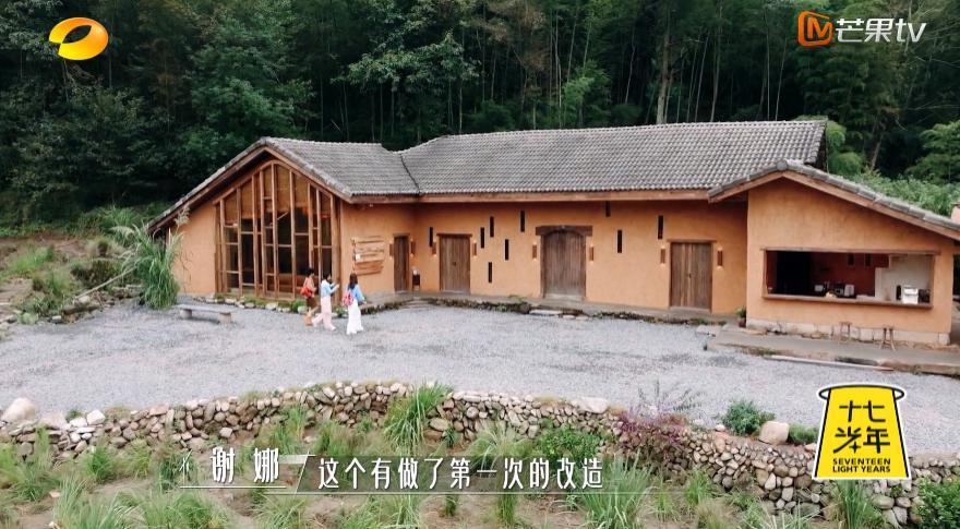 谢谢它，治好了我的精神内耗