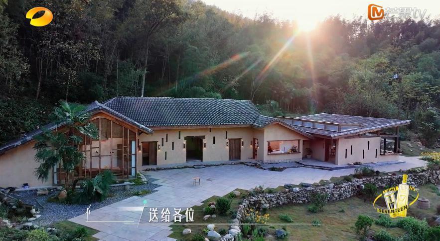 谢谢它，治好了我的精神内耗