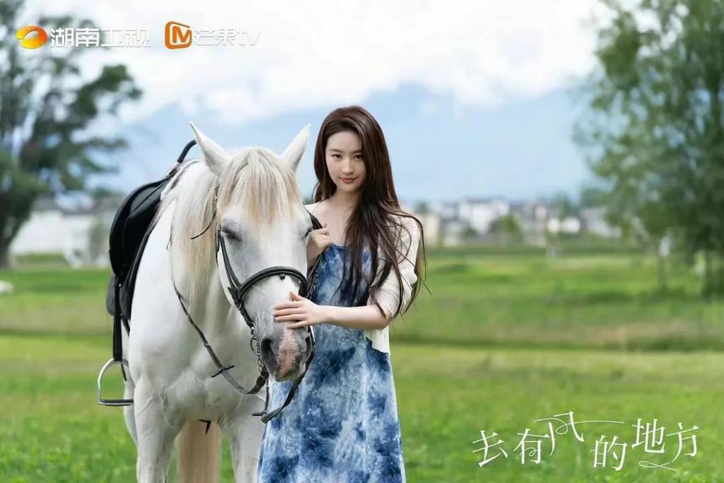 谢谢它，治好了我的精神内耗