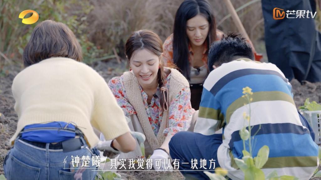 谢谢它，治好了我的精神内耗