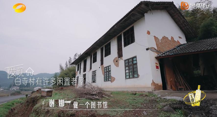 谢谢它，治好了我的精神内耗