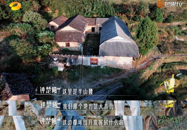 谢谢它，治好了我的精神内耗