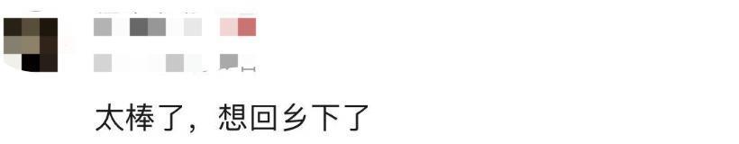 谢谢它，治好了我的精神内耗