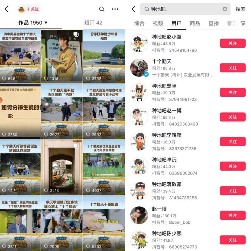 综艺「暖冬期」来临