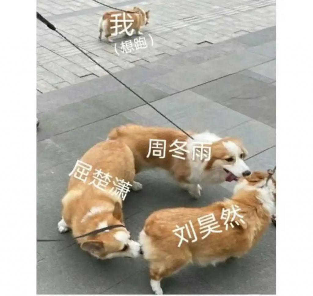 《燃冬》大概是被低估了