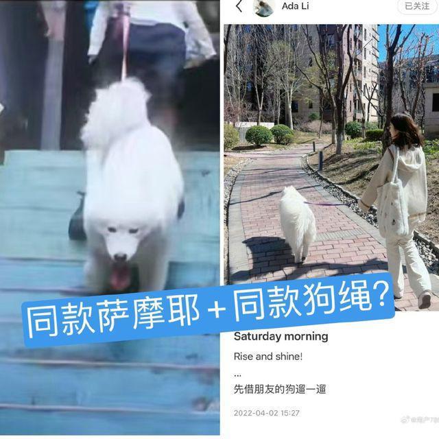 王源恋爱？跟李恩童同框画面曝光，细节被扒，本人不回应