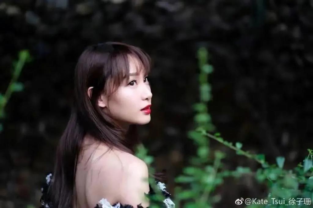 最甜港姐：退圈读博，做律师去了