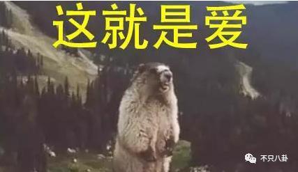 又一男明星与经纪人修成正果？他俩也算分分合合最终回到起点吧