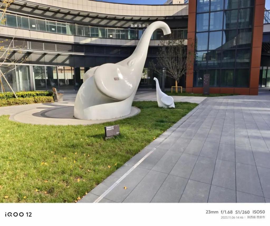 iQOO 12：影像史诗级进化，一款更精致的性能旗舰
