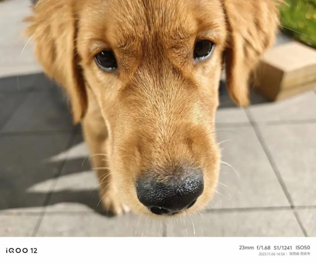 iQOO 12：影像史诗级进化，一款更精致的性能旗舰