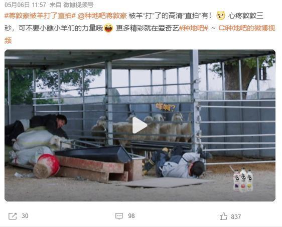 她因发育过猛退出国家游泳队，却被三流导演看中一夜成名