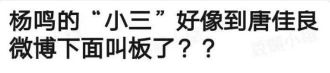 杨鸣婚变风波升级！小三孕味明显，被曝将生产，更多证据曝光