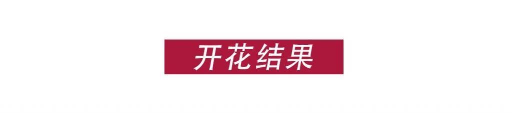 真好，又火了一个「变态」男演员