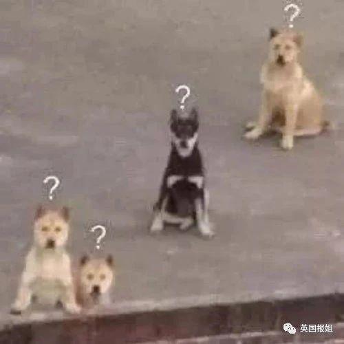 岳父出轨女婿还拍视频？女儿大义灭亲曝狗血，女婿：父女合谋图我身子！