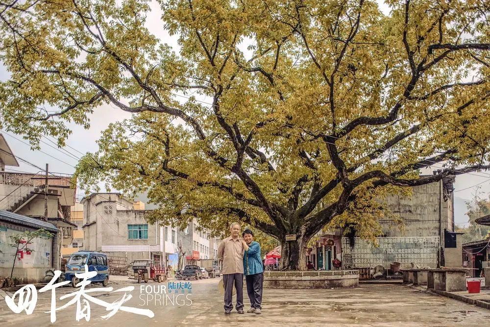 为什么今年有这么多现实主义电影？