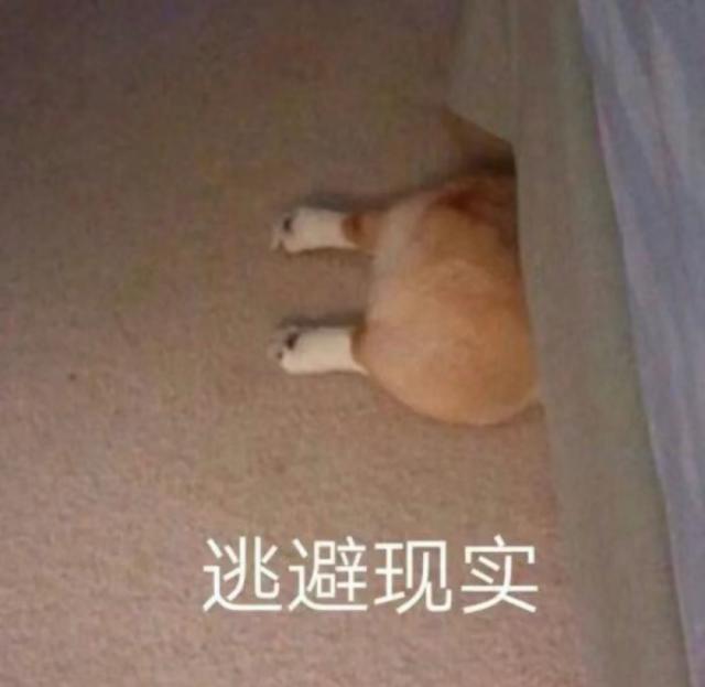 还记得Tina李缇娜吗？她出家了？