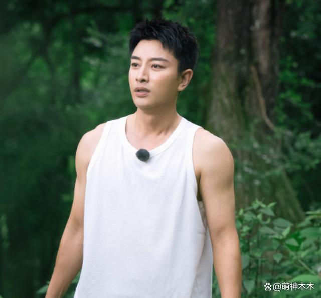 贾乃亮聚会后带美女回家，疑似恋情曝光，和李小璐复婚无望